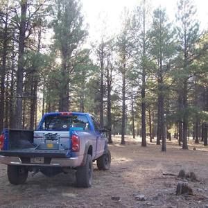 Meet your Posher, Bobby